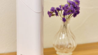 【新春初売り】クレベリン 除菌剤 合計12個入り 新春初売り】クレベリン 除菌剤 合計12個入り ショップ 【新春初売り